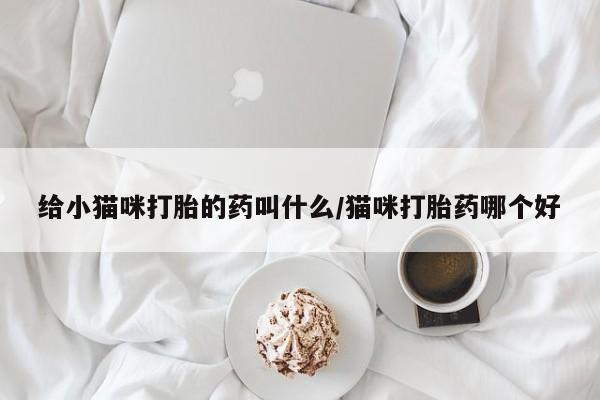 私人卖打胎药联系方式给小猫咪打胎的药叫什么/猫咪打胎药哪个好