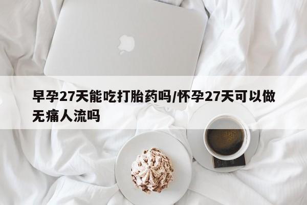 私人卖打胎药联系方式早孕27天能吃打胎药吗/怀孕27天可以做无痛人流吗