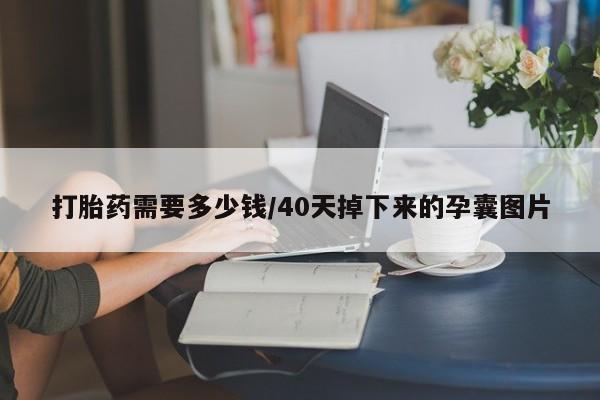 私人卖打胎药联系方式打胎药需要多少钱/40天掉下来的孕囊图片